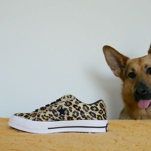 dog print converse
